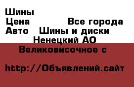 Шины bridgestone potenza s 2 › Цена ­ 3 000 - Все города Авто » Шины и диски   . Ненецкий АО,Великовисочное с.